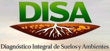 Logo DISA | Diagnóstico Integral de Suelos y Ambientes