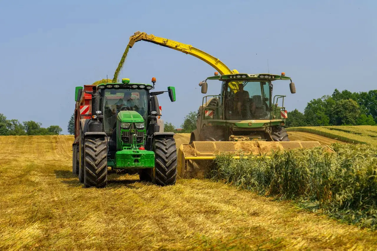 Servicios Raíz Científica
